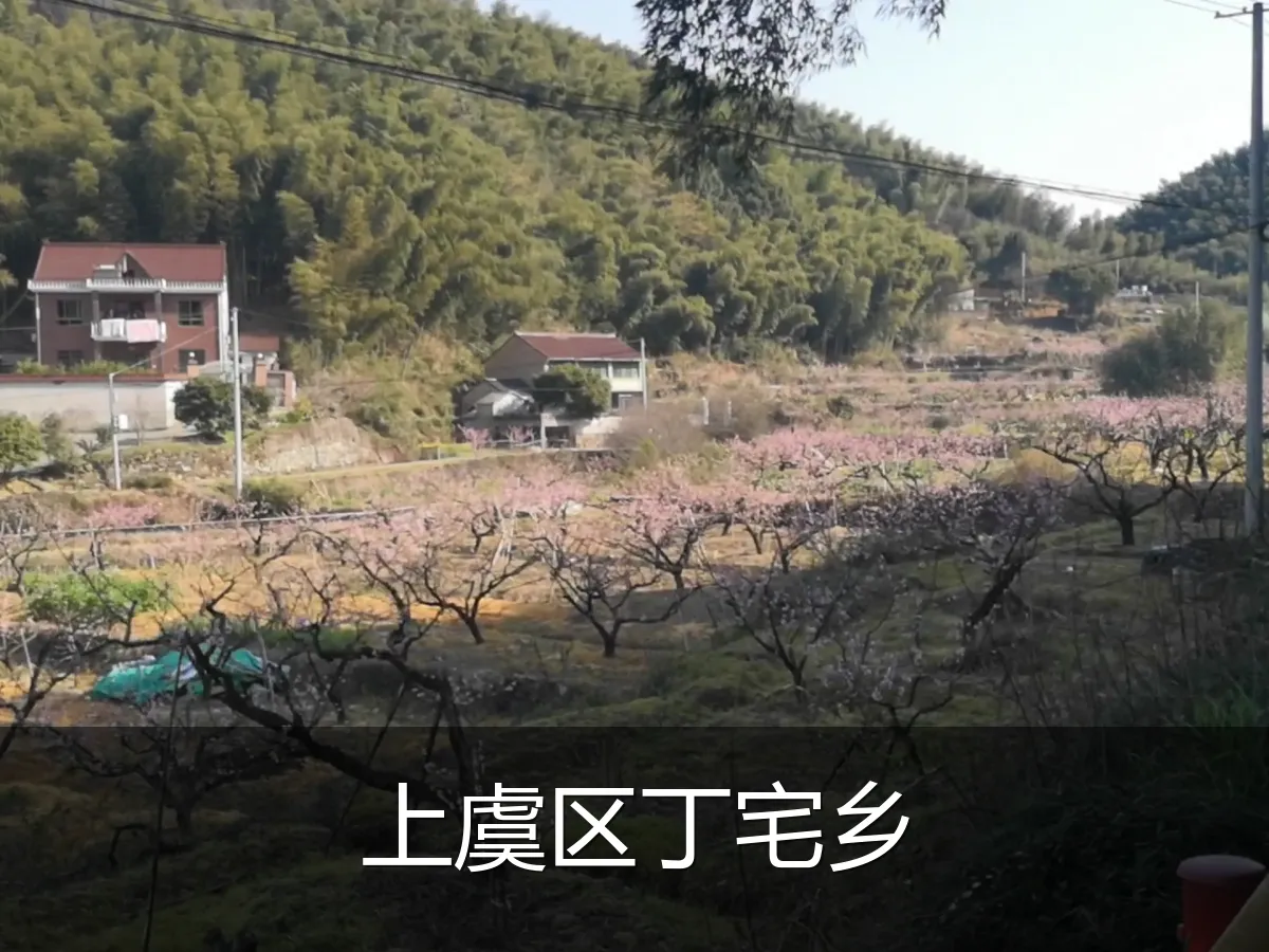 上虞区丁宅乡