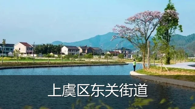 上虞区东关街道